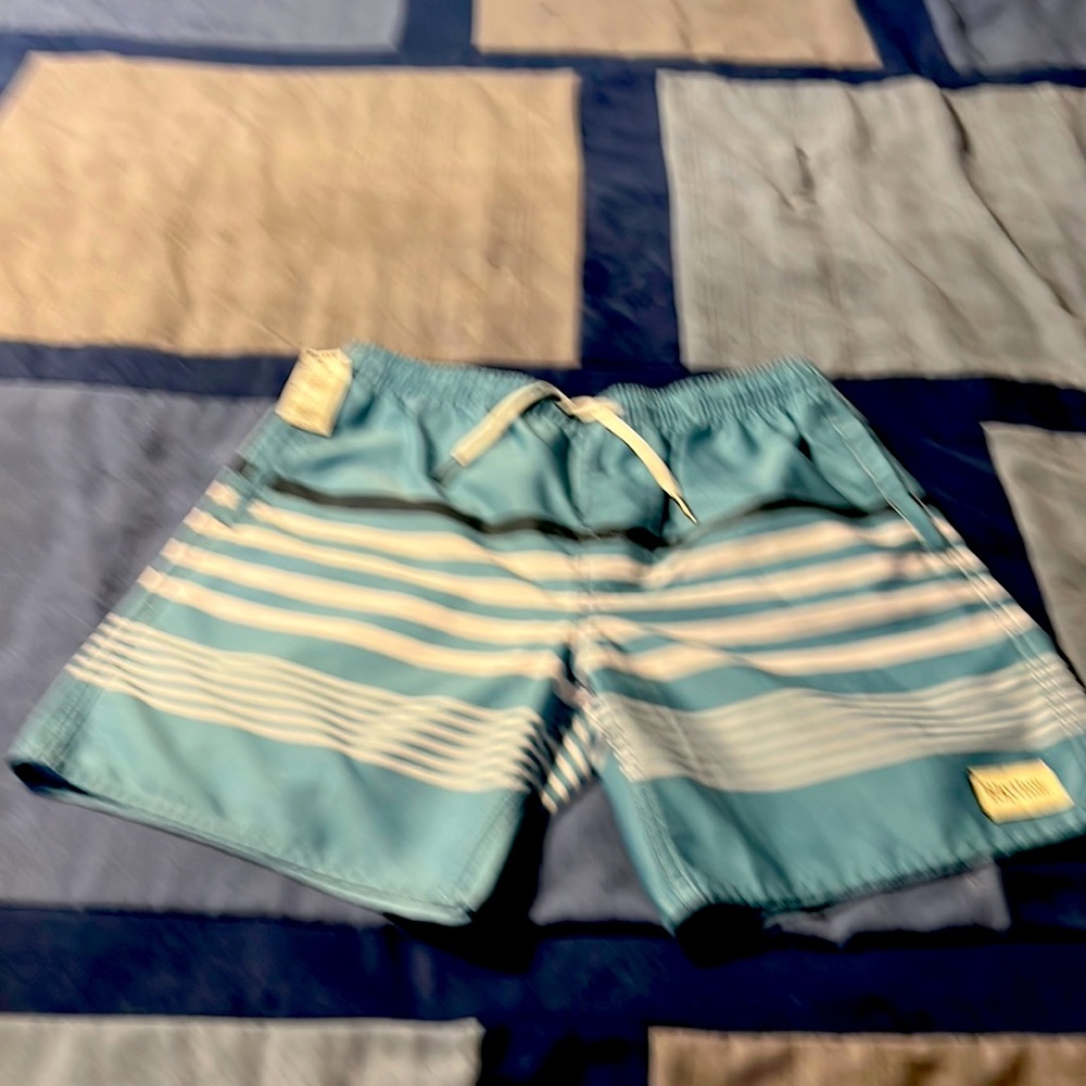Men’s swim shorts,polyester and cotton like new,size 32.By rhythm livin